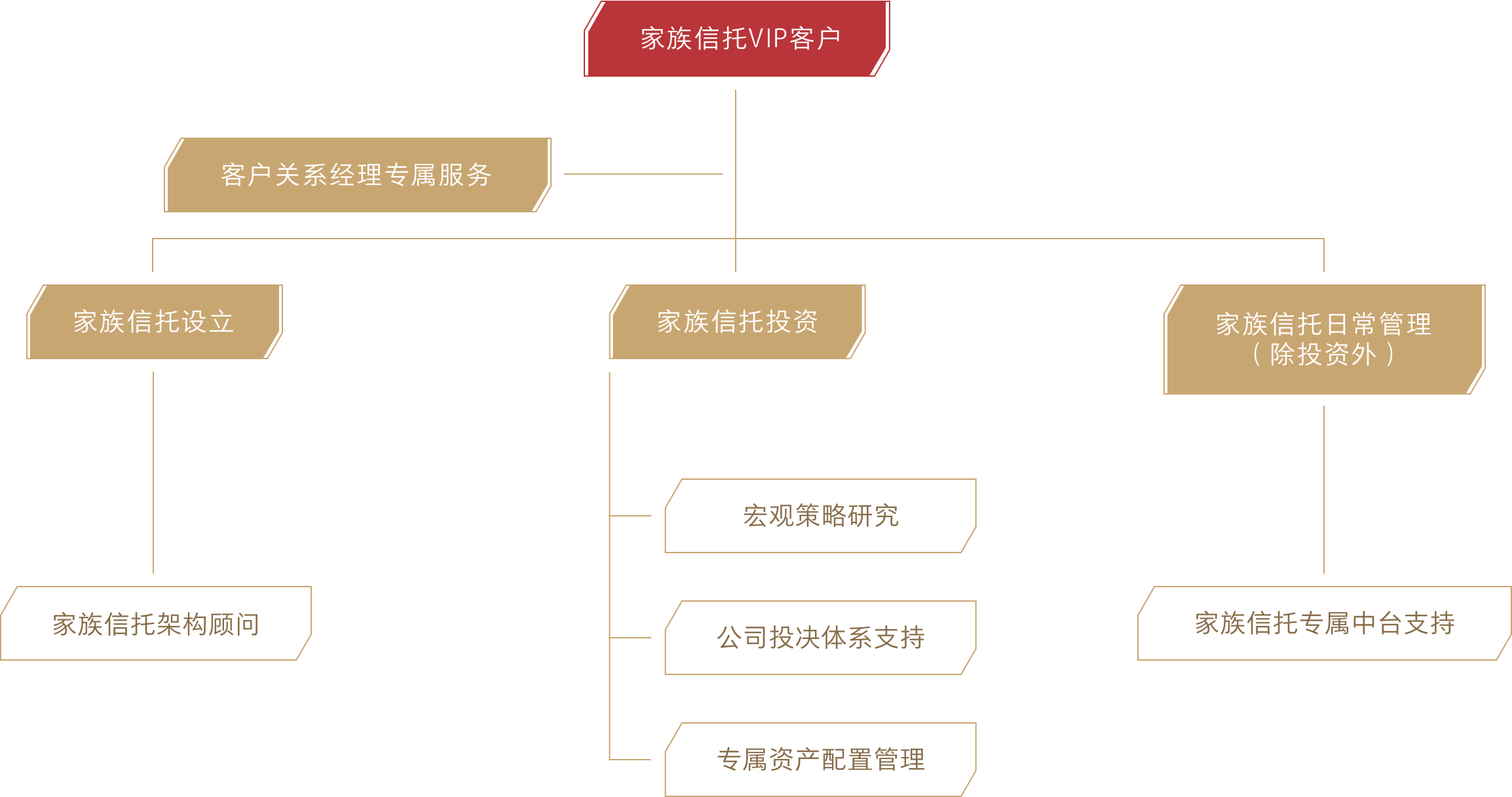 最准一码一肖100%精准